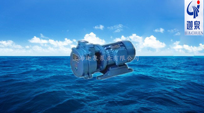 直聯水環(huán)式真空泵